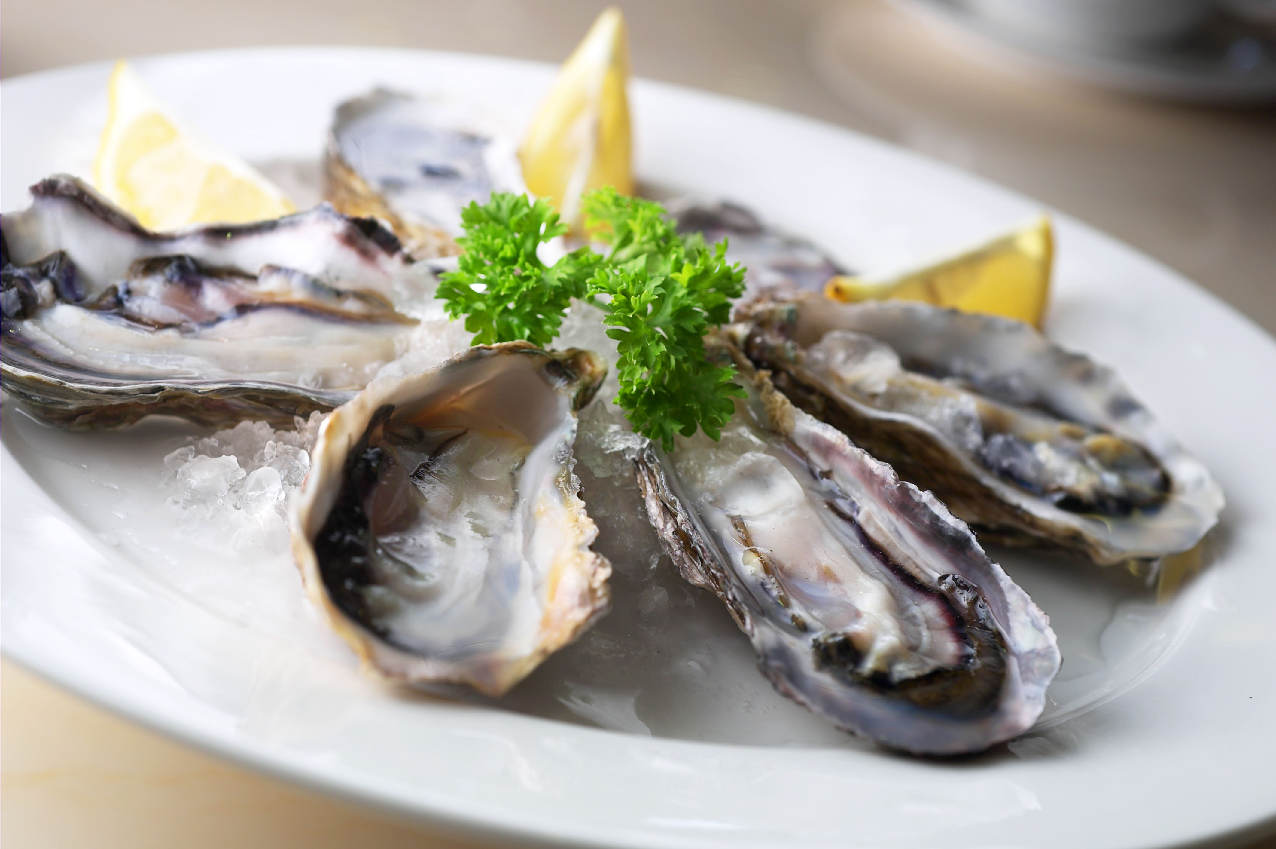 Fresh oysters are the specialty of Ston area